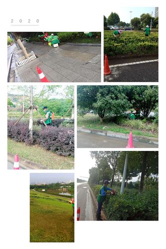 东湖高新区6月15日养护工作简报